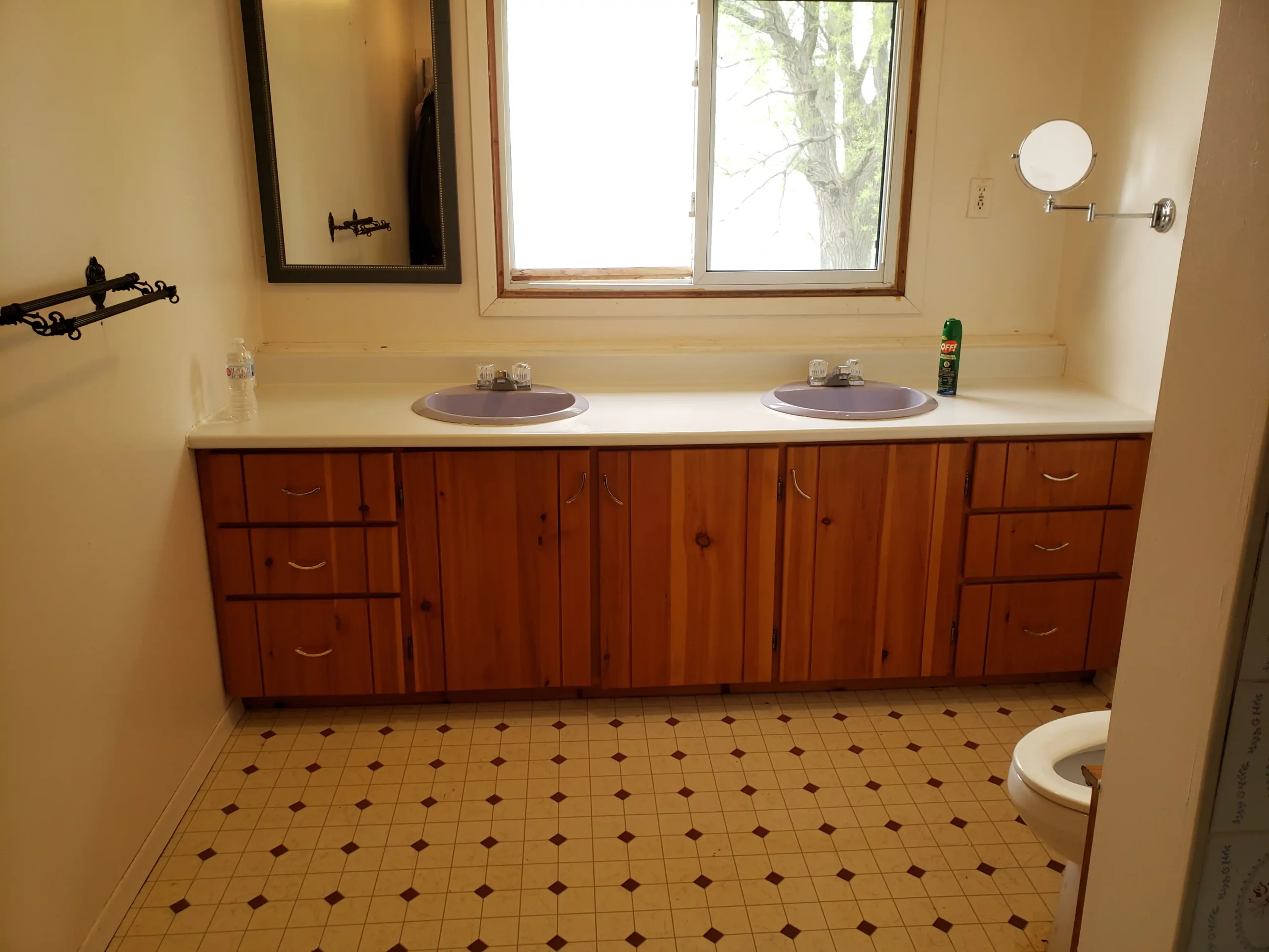 bathroom before renovation